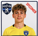 De Smet Luca
