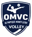 MaxiFlow Sport Club Demo